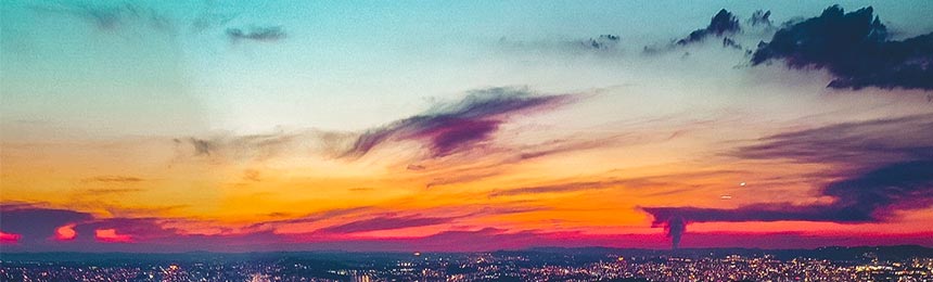 垦利茶虫网_垦利品茶